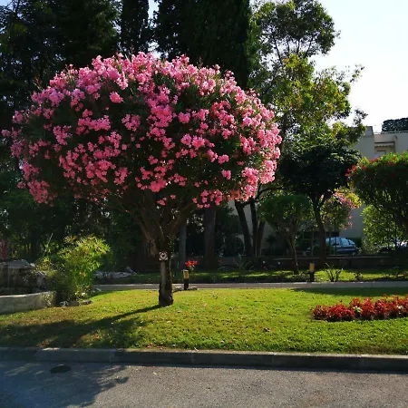 Apartmán Superbe 2 Pieces En Rez-de-jardin Ensoleille ❤️ Golfe-Juan